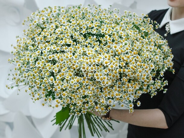 Букет из 51 ромашек, артикул F32012 - 12000 рублей, доставка по городу. Flawery - доставка цветов