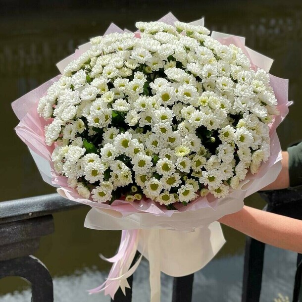 Букет из белых маленьких ромашек, артикул F1184144 - 9357 рублей, доставка по городу. Flawery - доставка цветов