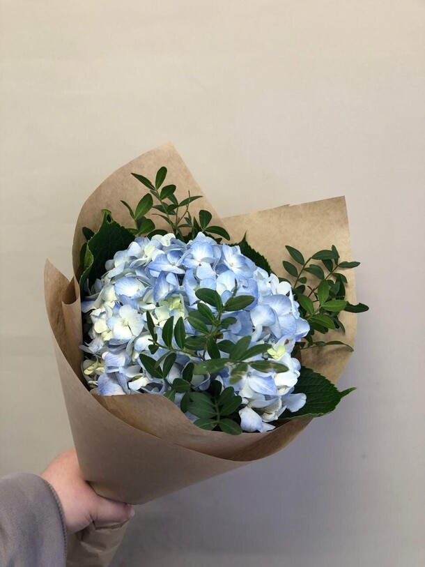 Букет из гортензии, артикул F1404225 - 2182 рублей, доставка по городу. Flawery - доставка цветов