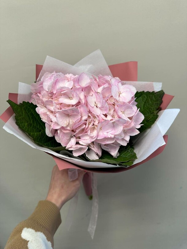 Букет из розовой гортензии, артикул F1428633 - 2035 рублей, доставка по городу. Flawery - доставка цветов