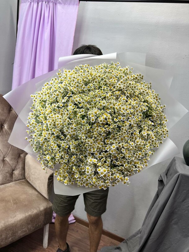 Букет из 101 ромашки, артикул F1131813 - 24079 рублей, доставка по городу. Flawery - доставка цветов