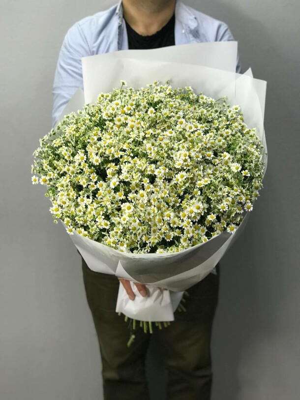 Букет из 49 ромашки, артикул F1131861 - 10878 рублей, доставка по городу. Flawery - доставка цветов