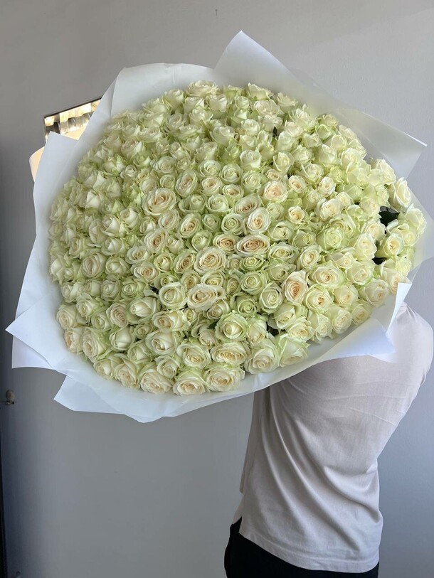 Букет из 151 розы, артикул F1131953 - 36562 рублей, доставка по городу. Flawery - доставка цветов