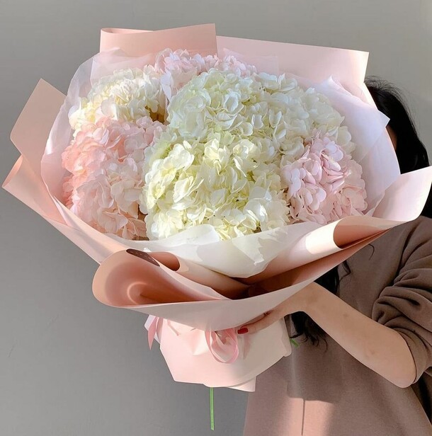 Гортензия, артикул F1297772 - 7139 рублей, доставка по городу. Flawery - доставка цветов