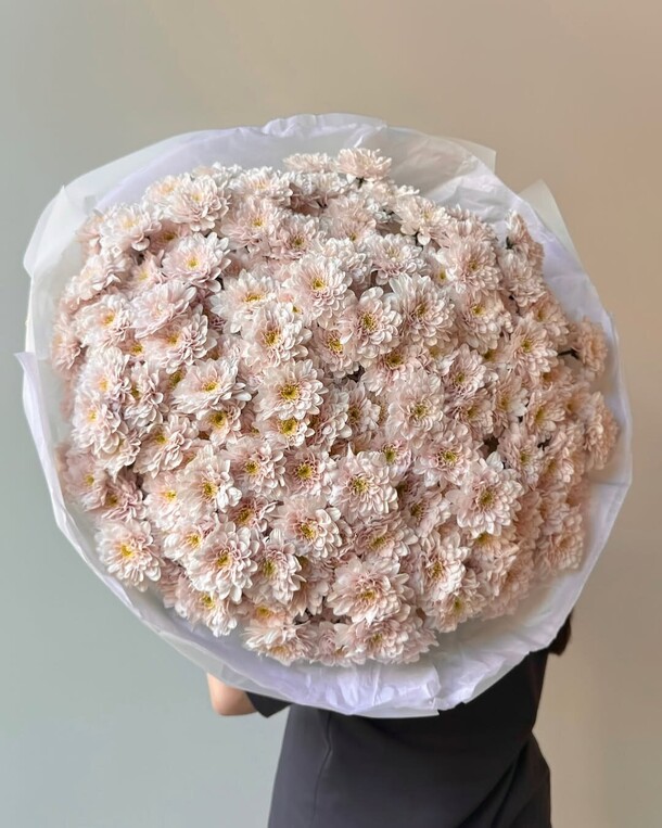 Хризантема, артикул F1430467 - 9195 рублей, доставка по городу. Flawery - доставка цветов