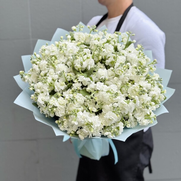 Букет белоснежных маттиол, артикул F1434593 - 11900 рублей, доставка по городу. Flawery - доставка цветов