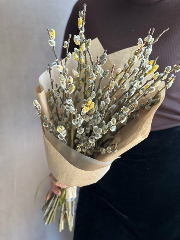 Верба классическая, артикул F1107541 - 1000 рублей, доставка по городу. Flawery - доставка цветов