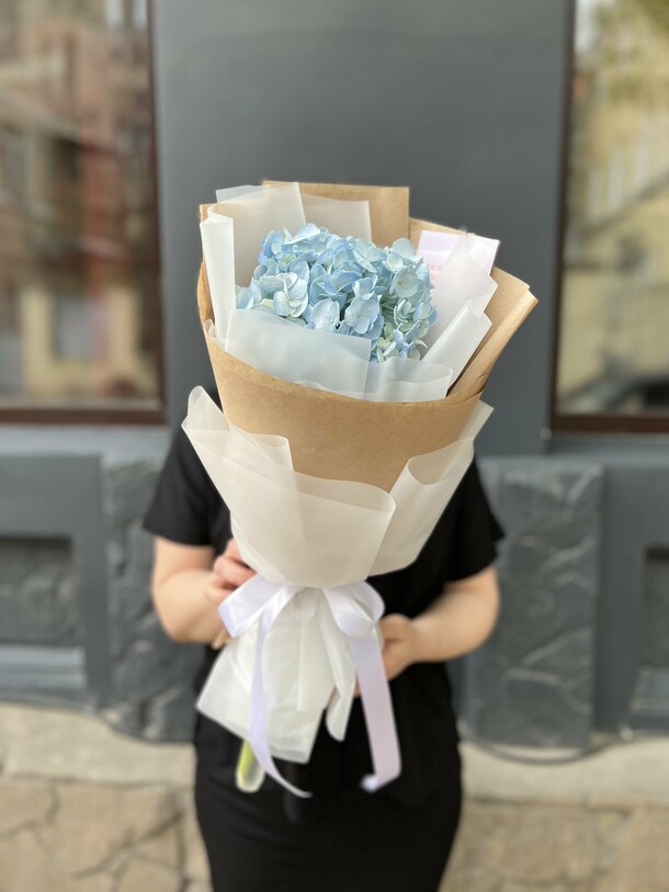 Голубая гортензия, артикул F1188662 - 1650 рублей, доставка по городу. Flawery - доставка цветов