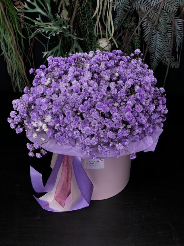 Гипсофила сиреневая в коробке, артикул F1077774 - 5059 рублей, доставка по городу. Flawery - доставка цветов