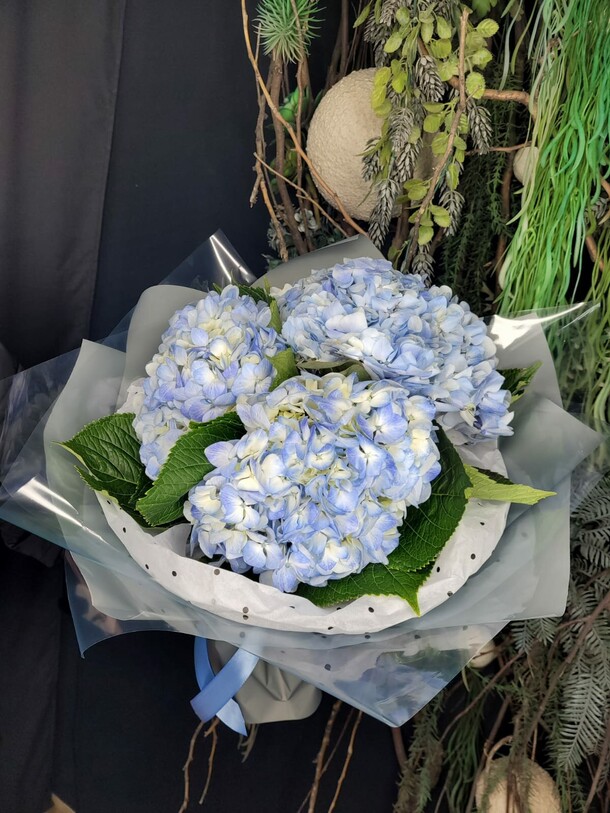 Букет из гортензии🌸, артикул F1091536 - 4950 рублей, доставка по городу. Flawery - доставка цветов