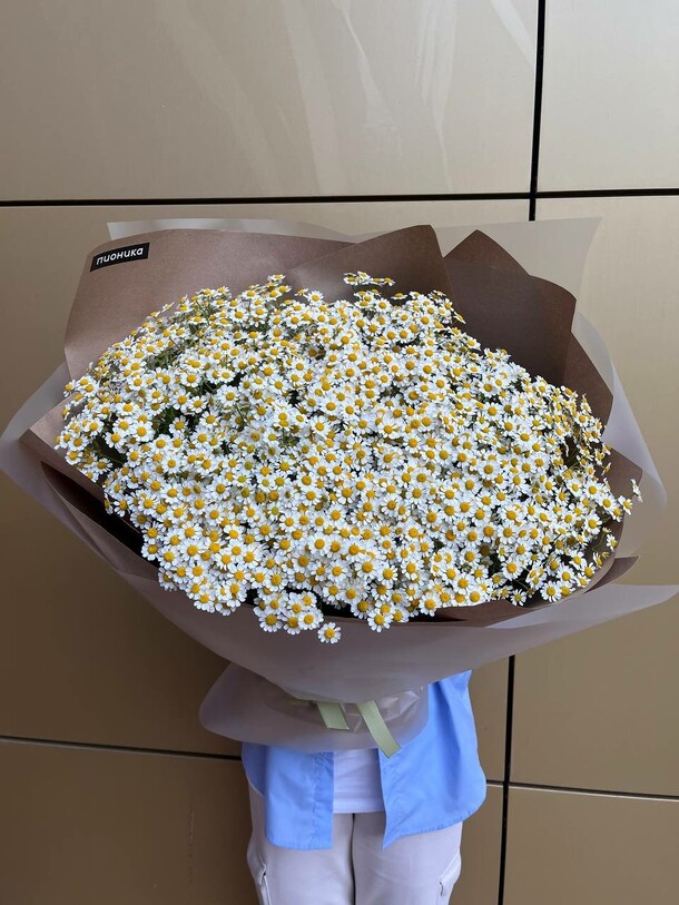 Букет с 35 кустовыми ромашками, артикул F1433060 - 9130 рублей, доставка по городу. Flawery - доставка цветов