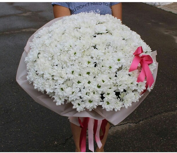 Хризантема кустовая🌺, артикул F32829 - 19580 рублей, доставка по городу. Flawery - доставка цветов