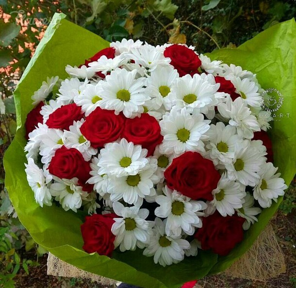 Букет из красных роз и белых хризантем🌸, артикул F33432 - 7370 рублей, доставка по городу. Flawery - доставка цветов