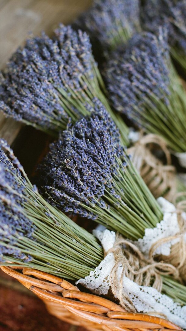 Прованс 🌸, артикул F50767 - 2310 рублей, доставка по городу. Flawery - доставка цветов