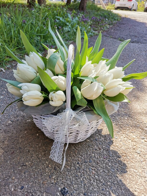 Белый тюльпан в корзине🌸, артикул F77472 - 7920 рублей, доставка по городу. Flawery - доставка цветов