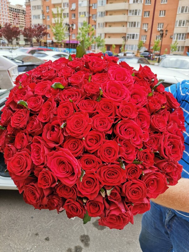 101 роза🌸, артикул F81524 - 27500 рублей, доставка по городу. Flawery - доставка цветов