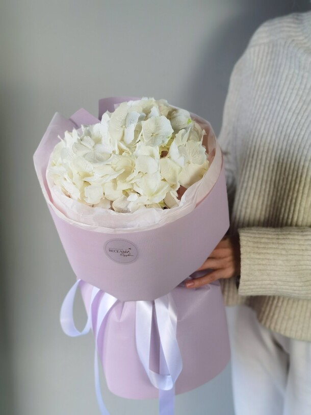 Белая гортензия в упаковке, артикул F1118880 - 1500 рублей, доставка по городу. Flawery - доставка цветов