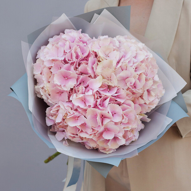 Букет гортензии, артикул F1121668 - 5445 рублей, доставка по городу. Flawery - доставка цветов