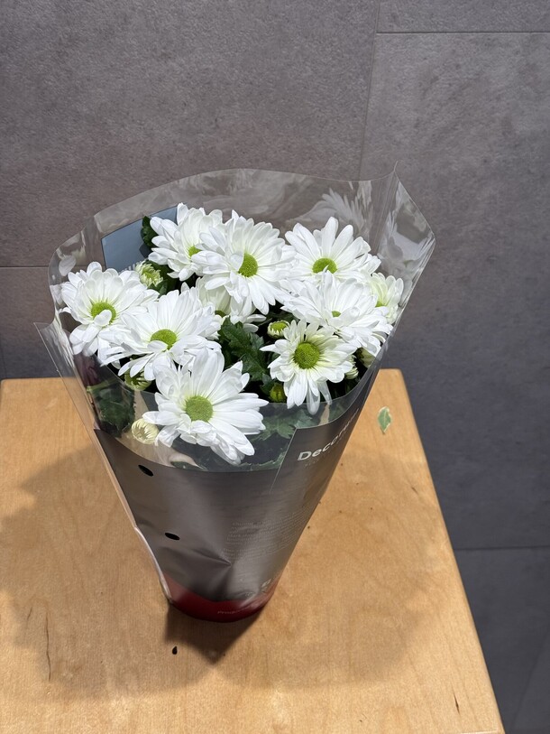 Хризантема, артикул F1130427 - 2783 рублей, доставка по городу. Flawery - доставка цветов