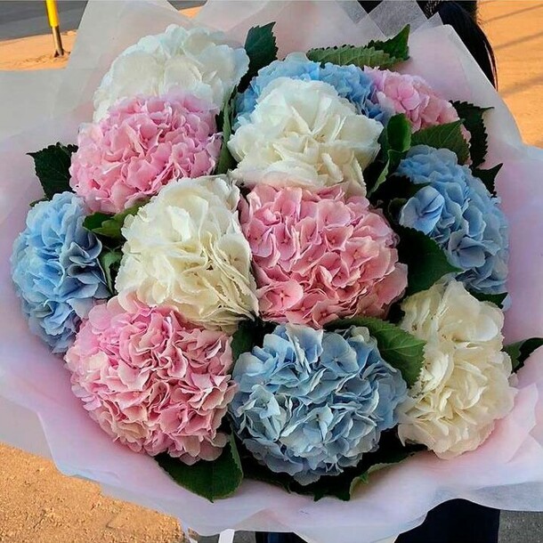 Гортензия, артикул F1130914 - 19844 рублей, доставка по городу. Flawery - доставка цветов