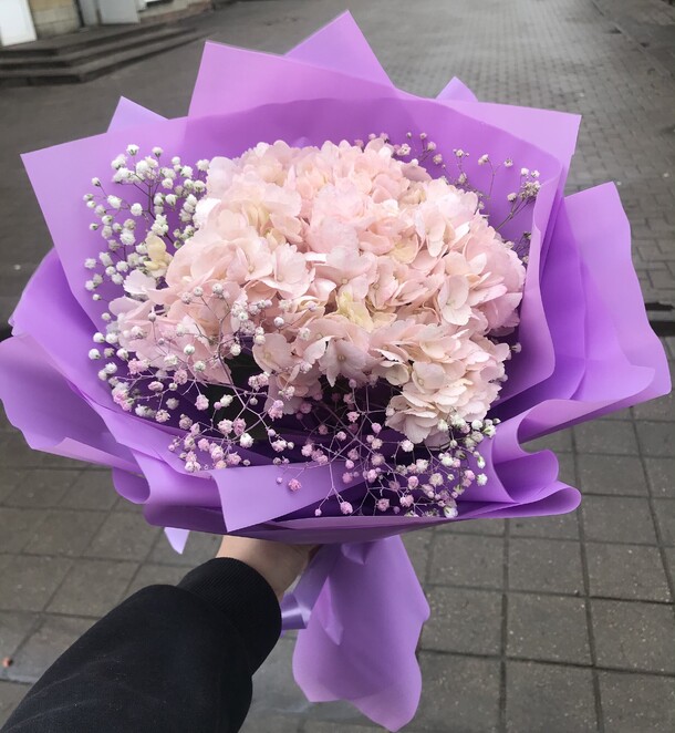 Гортензия, артикул F1144956 - 2904 рублей, доставка по городу. Flawery - доставка цветов