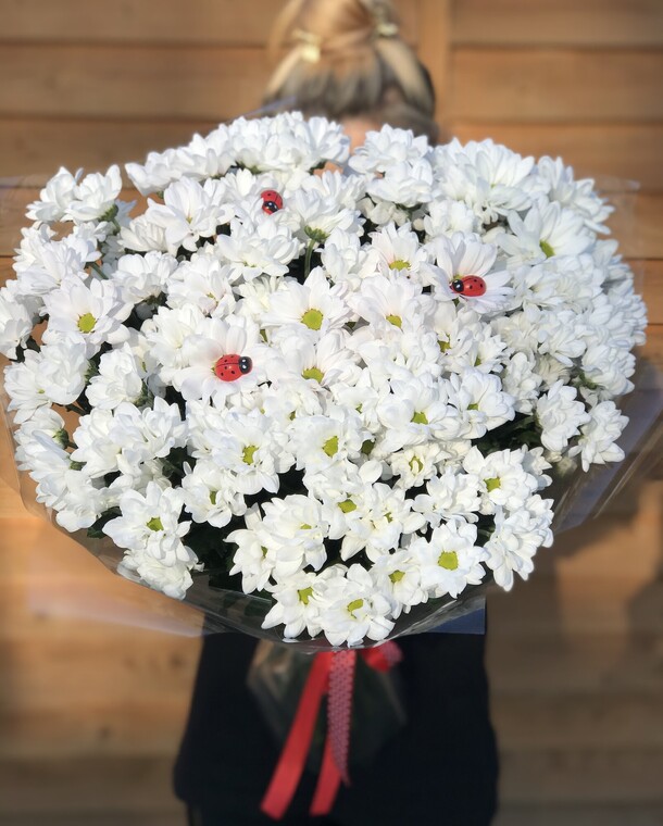 Букет хризантем, артикул F1144960 - 11616 рублей, доставка по городу. Flawery - доставка цветов