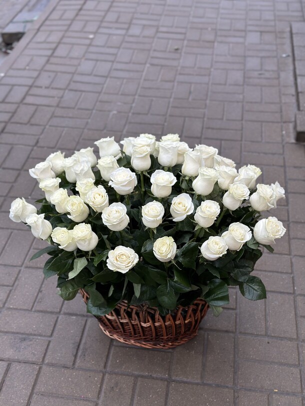 51 роза мондиаль, артикул F1160701 - 36300 рублей, доставка по городу. Flawery - доставка цветов