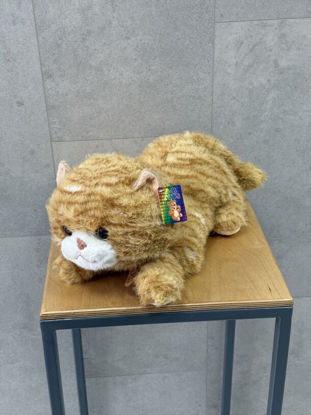 Мягкий котик, артикул F1369212 - 2360 рублей, доставка по городу. Flawery - доставка цветов