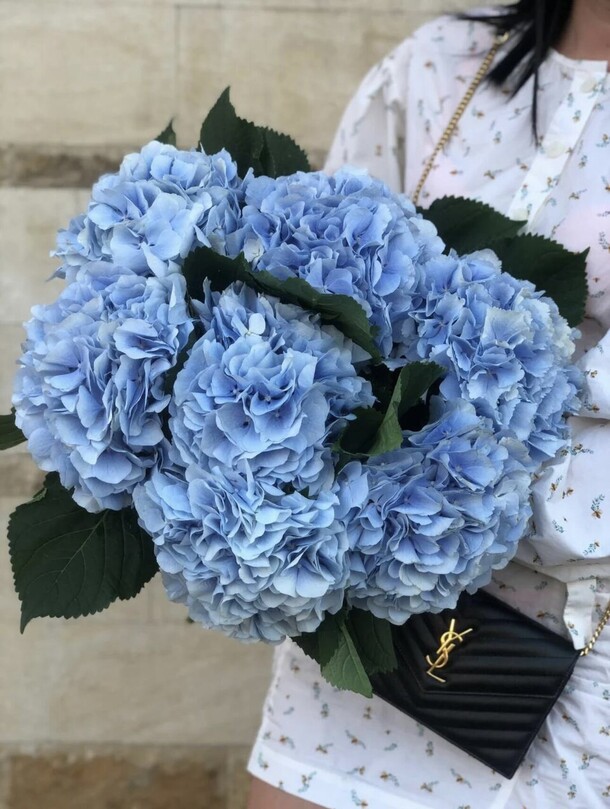 7 гортензий, артикул F1211084 - 10500 рублей, доставка по городу. Flawery - доставка цветов