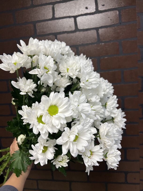 9 кустовых ромашек, артикул F1228390 - 3993 рублей, доставка по городу. Flawery - доставка цветов