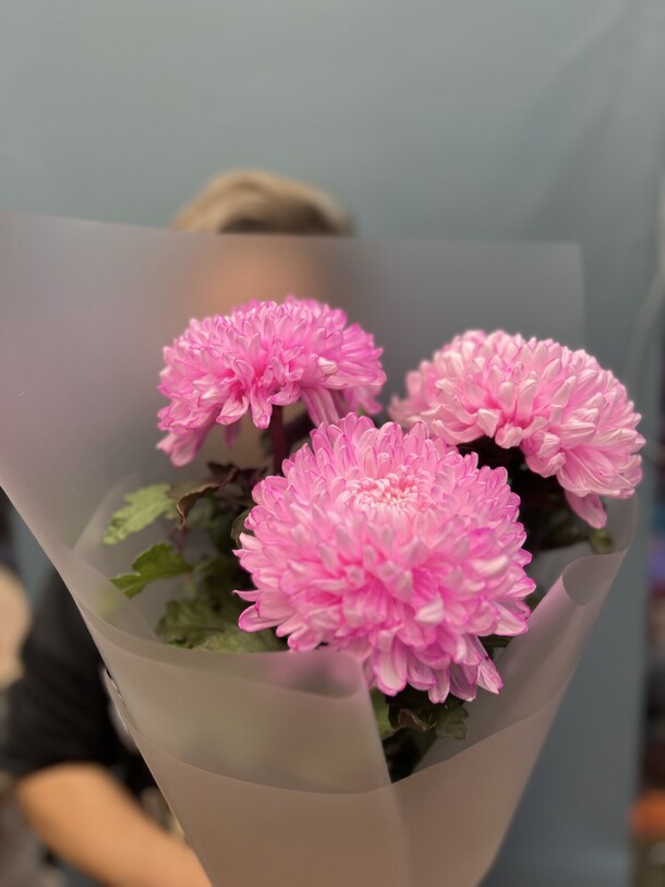 Букет из хризантем, артикул F1325208 - 2130 рублей, доставка по городу. Flawery - доставка цветов