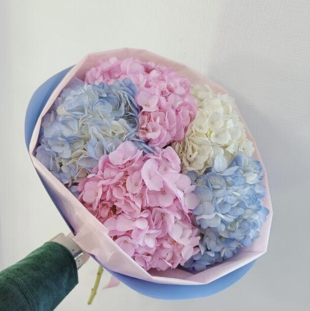 Нежные гортенз, артикул F1516697 - 6655 рублей, доставка по городу. Flawery - доставка цветов