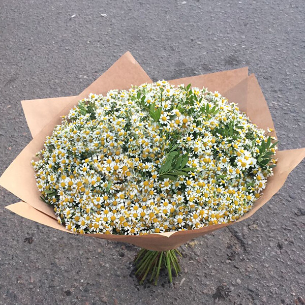 Букет из ромашек, артикул F10049 - 15900 рублей, доставка по городу. Flawery - доставка цветов