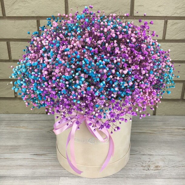 Разноцветная гипсофила в коробке, артикул F108820 - 9900 рублей, доставка по городу. Flawery - доставка цветов