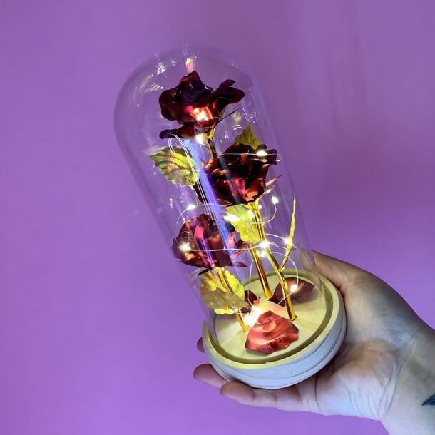 Розы в колбе светящиеся (02), артикул F1514617 - 4200 рублей, доставка по городу. Flawery - доставка цветов