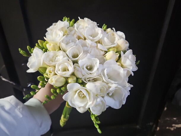 Фрезия, артикул F1385463 - 6000 рублей, доставка по городу. Flawery - доставка цветов