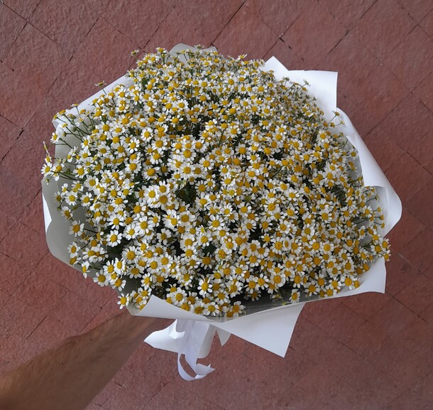 51 кустовая ромашка, артикул F1134375 - 9990 рублей, доставка по городу. Flawery - доставка цветов