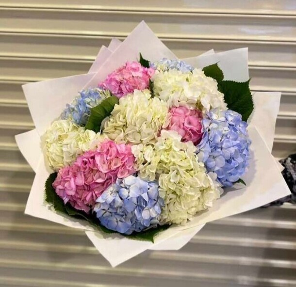 13 гортензий микс, артикул F1162175 - 10000 рублей, доставка по городу. Flawery - доставка цветов
