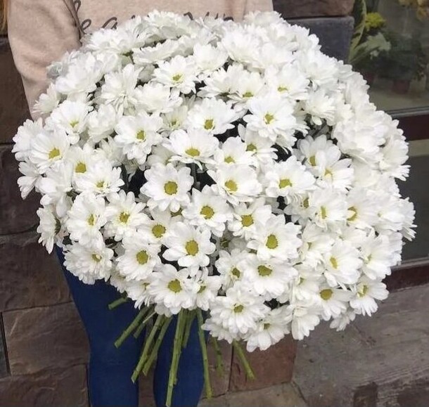 19 кустовых хризантем, артикул F1204671 - 9990 рублей, доставка по городу. Flawery - доставка цветов