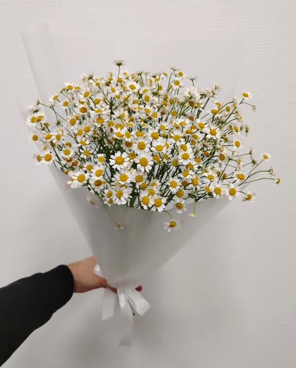 9 кустовых ромашек, артикул F1206148 - 2500 рублей, доставка по городу. Flawery - доставка цветов