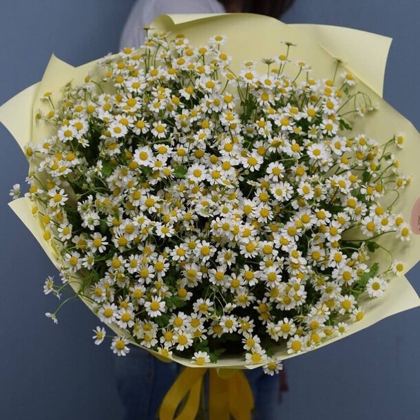 19 кустовых ромашек, артикул F1206937 - 5500 рублей, доставка по городу. Flawery - доставка цветов