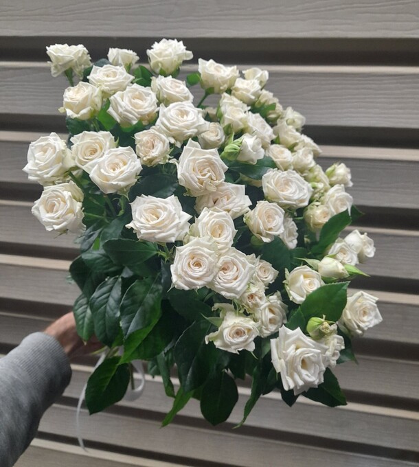 19 белых кустовых роз, артикул F1215039 - 5990 рублей, доставка по городу. Flawery - доставка цветов