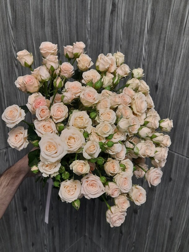 19 кремовых кустовых роз, артикул F1222044 - 9983 рублей, доставка по городу. Flawery - доставка цветов