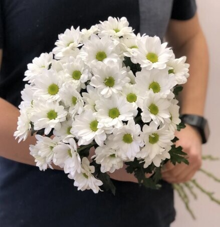 Букет из 5 кустовых хризантем, артикул F1242322 - 5344 рублей, доставка по городу. Flawery - доставка цветов