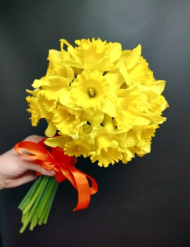 Букет из 25 нарциссов под ленту, артикул F1264676 - 2200 рублей, доставка по городу. Flawery - доставка цветов