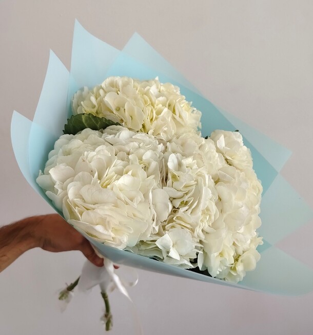 3 белые гортензии, артикул F1465400 - 2723 рублей, доставка по городу. Flawery - доставка цветов