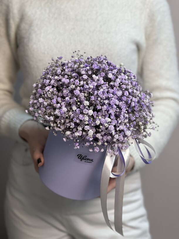 Коробка гипсофил, артикул F1361397 - 4070 рублей, доставка по городу. Flawery - доставка цветов