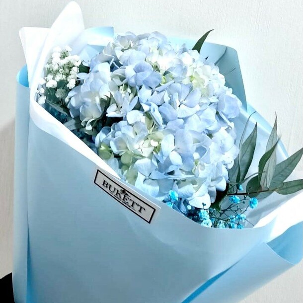 Морской бриз, артикул F1212050 - 2240 рублей, доставка по городу. Flawery - доставка цветов