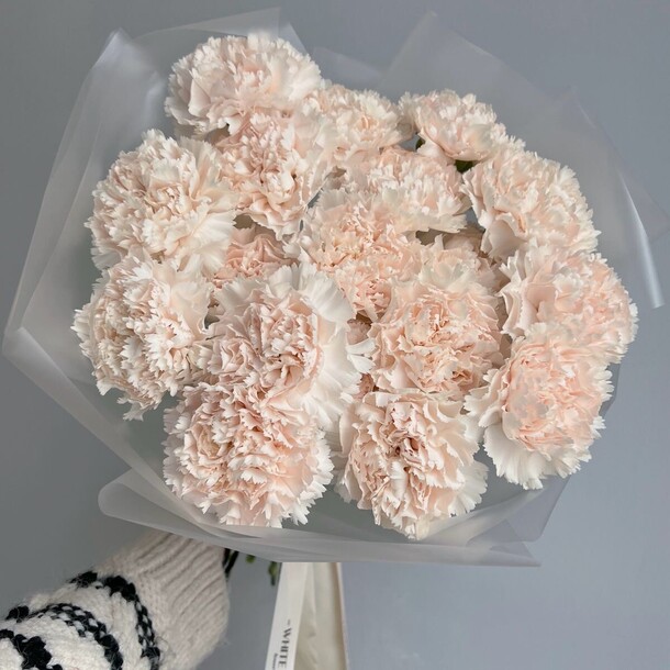 Букет из кремовых диантусов, артикул F1332541 - 5060 рублей, доставка по городу. Flawery - доставка цветов