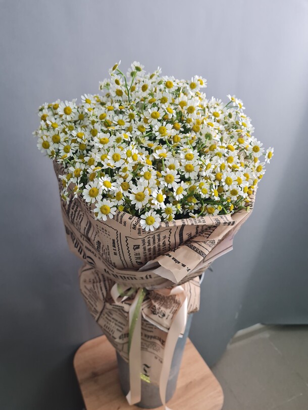 Ромашковое поле, артикул F1122258 - 4000 рублей, доставка по городу. Flawery - доставка цветов